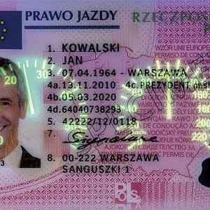 Buy Polish drivers license